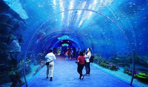 海洋之眼爆料视频大全,视频大全深度解析 第1张 海洋之眼爆料视频大全,视频大全深度解析 第1张